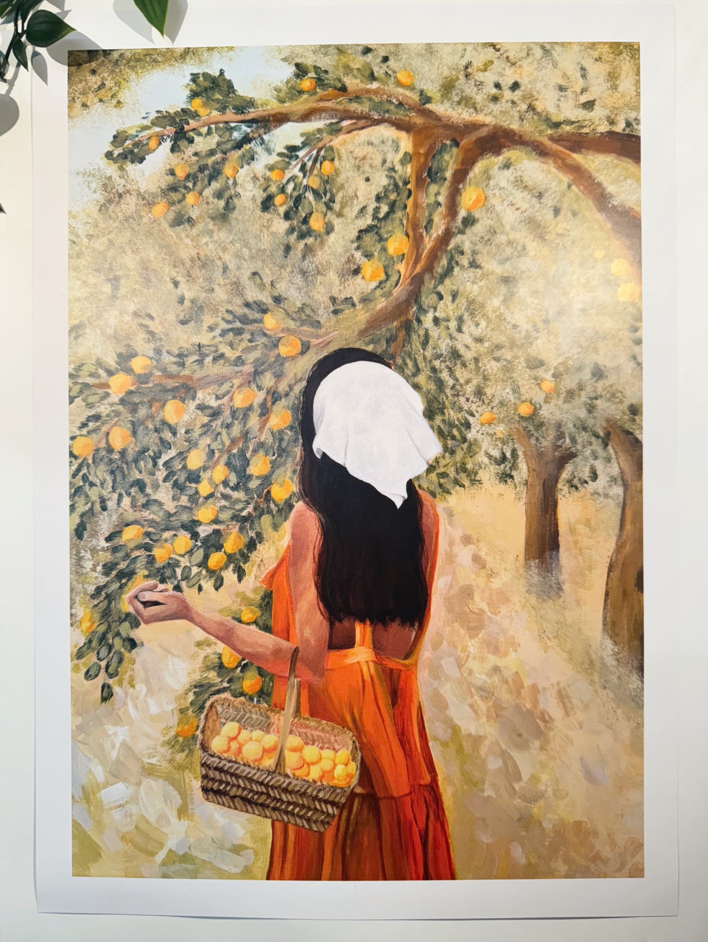 DIN A3 Print „Lemon Trees“ - Bundle